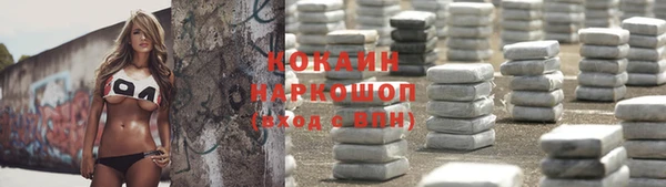 Альфа ПВП Белокуриха