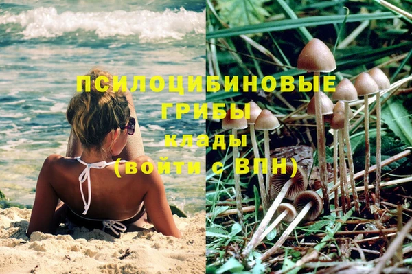 каннабис Беломорск