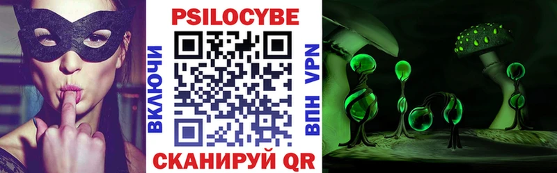 Псилоцибиновые грибы MAGIC MUSHROOMS  купить закладку  Томск 